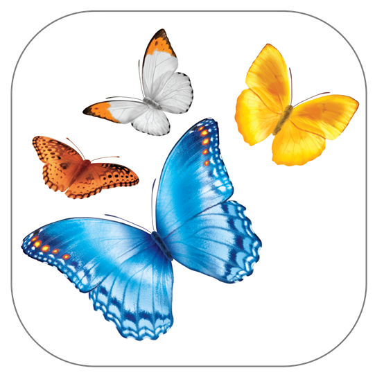 2026 Quality Tool School - Class 2: Project Tools 2 - 3/12/2026 (Virtual) Banner